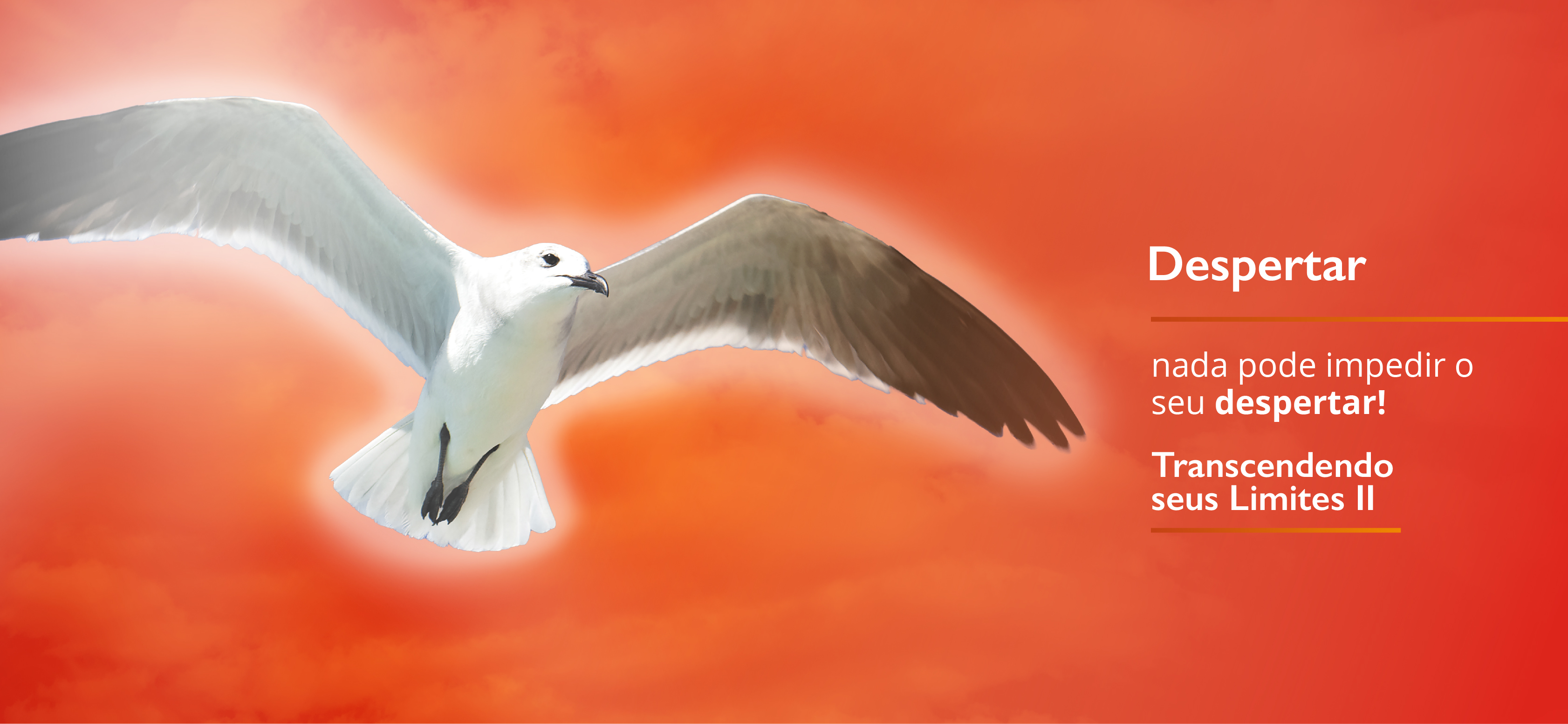 Imagem de um gaivota voando. Representa o treinamento
          Despertar - TL2